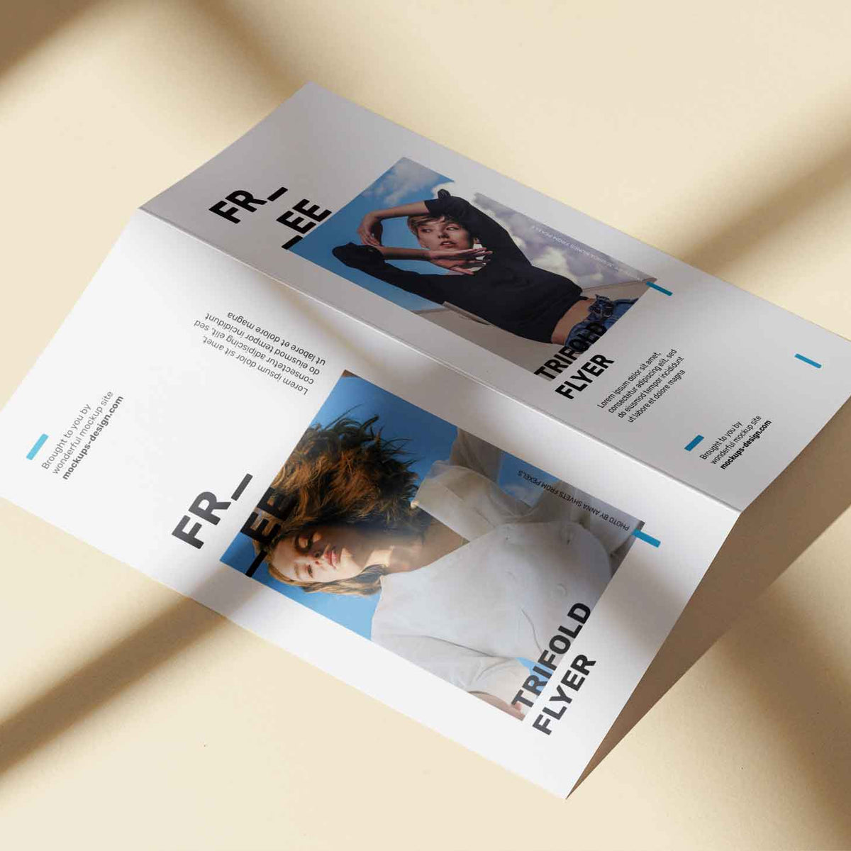 Dipticos - Pack 1000 Unidades